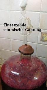 G&auml;hrung